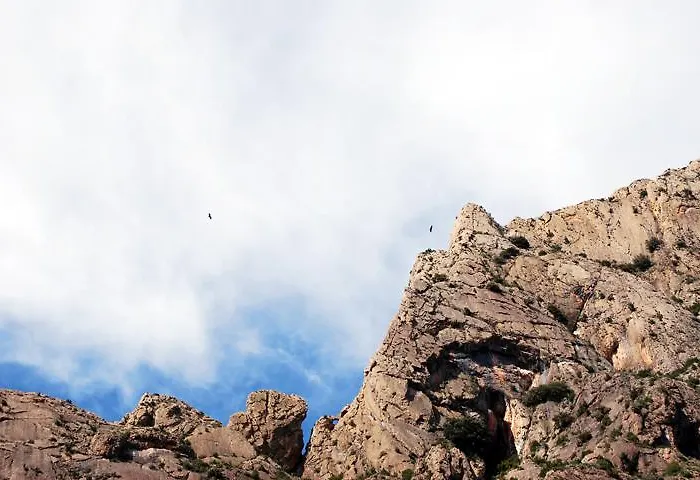 公寓 艾斯塔西亚度假屋 *